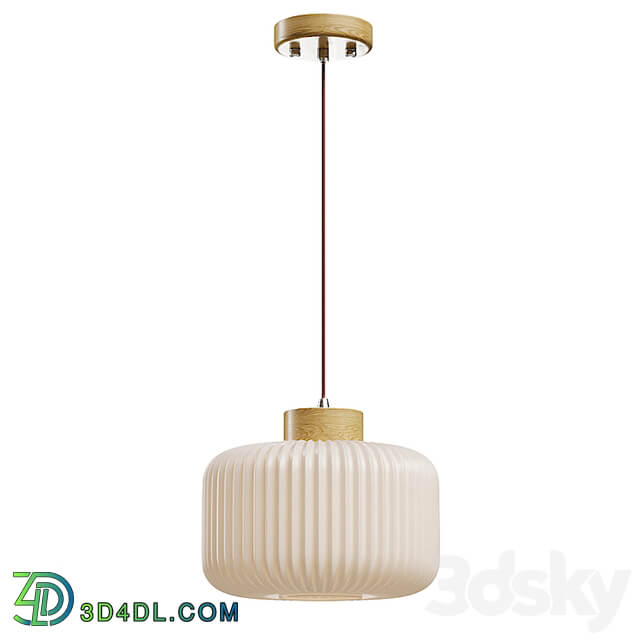 Lamaptron TOLLE pendant light