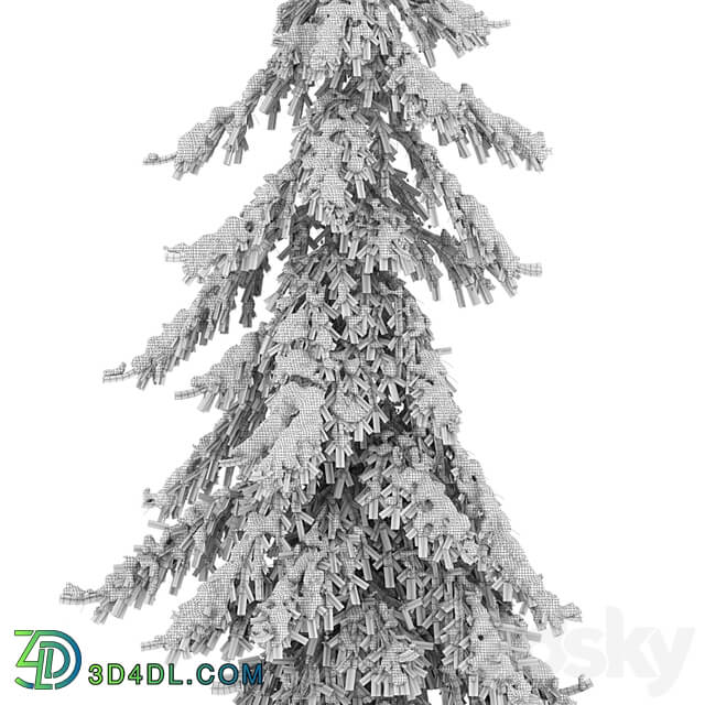 Winter Norway Spruce 02