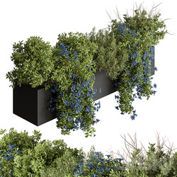 Hanging Plant Outdoor Plants 503 