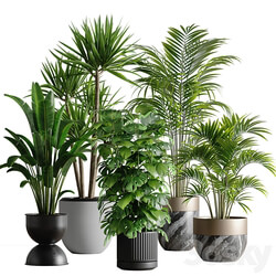 indoor plant set 53 