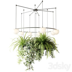 CIRC Suspension lamps Pendants chandelier with ampelous plants 