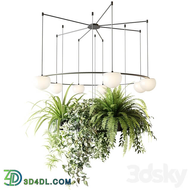 CIRC Suspension lamps Pendants chandelier with ampelous plants