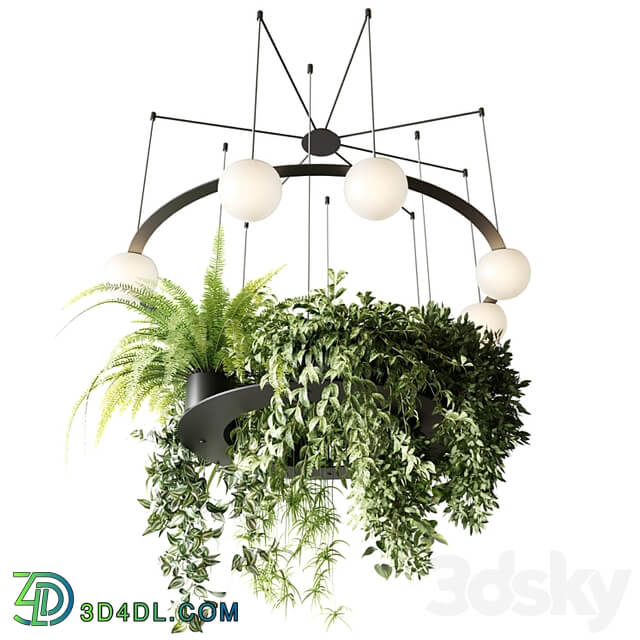 CIRC Suspension lamps Pendants chandelier with ampelous plants