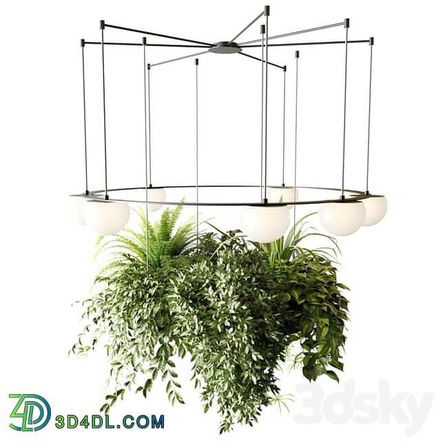 CIRC Suspension lamps Pendants chandelier with ampelous plants