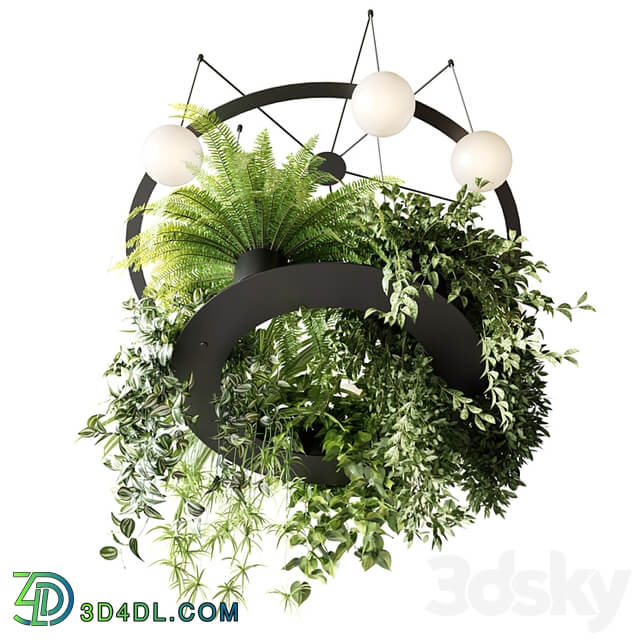 CIRC Suspension lamps Pendants chandelier with ampelous plants