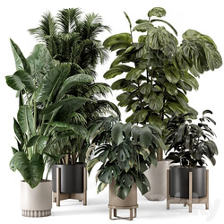 Indoor Plants in Ferm Living Bau Pot Large Set 1361 