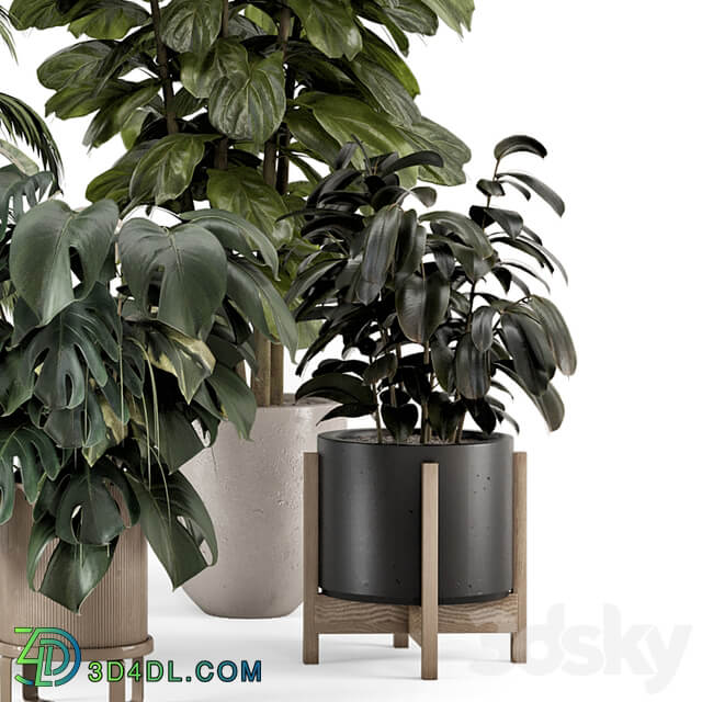 Indoor Plants in Ferm Living Bau Pot Large Set 1361