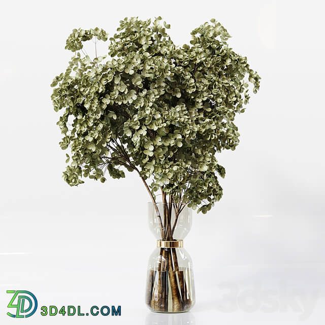 Collection Indoor Plants 041