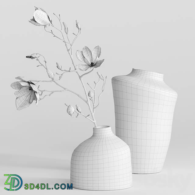 H&M vases with magnolia branch