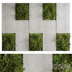 Vertical Garden Green Wall 77 