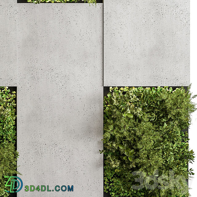 Vertical Garden Green Wall 77