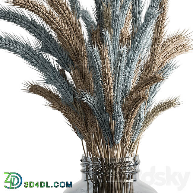Dry plants 101 Wheat