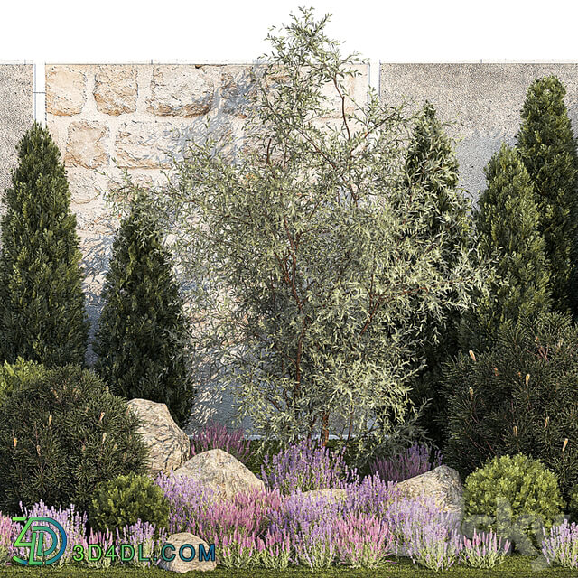 Beautiful garden with arborvitae and landscaping with pine, cypress, topiary, boulder stones, flowers and lavender, sage bushes. 1265