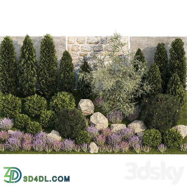 Beautiful garden with arborvitae and landscaping with pine, cypress, topiary, boulder stones, flowers and lavender, sage bushes. 1265