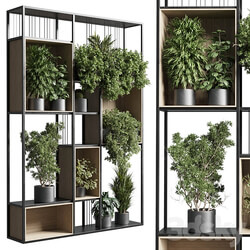 Standing metal shelf with a set 384 of plants in metal boxes corona 