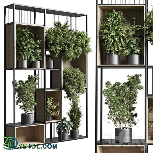 Standing metal shelf with a set 384 of plants in metal boxes corona