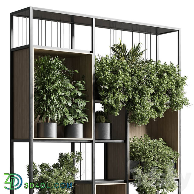 Standing metal shelf with a set 384 of plants in metal boxes corona