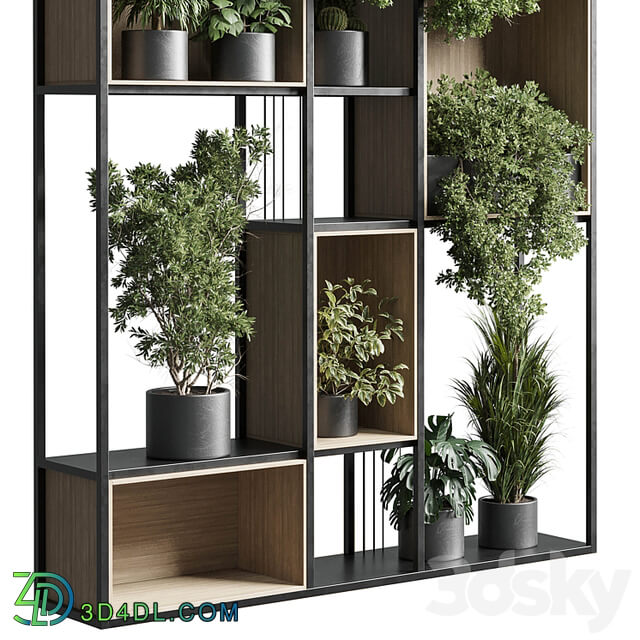 Standing metal shelf with a set 384 of plants in metal boxes corona