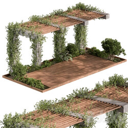 Pergola and Plant Set 81 