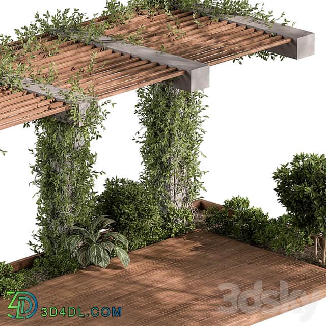 Pergola and Plant Set 81