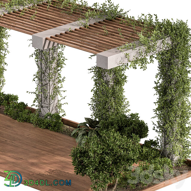 Pergola and Plant Set 81