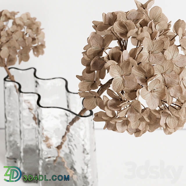 Decorative Set with dry Hydrangea