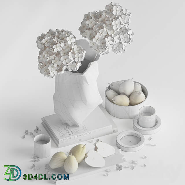 Decorative set with hydrangea 03