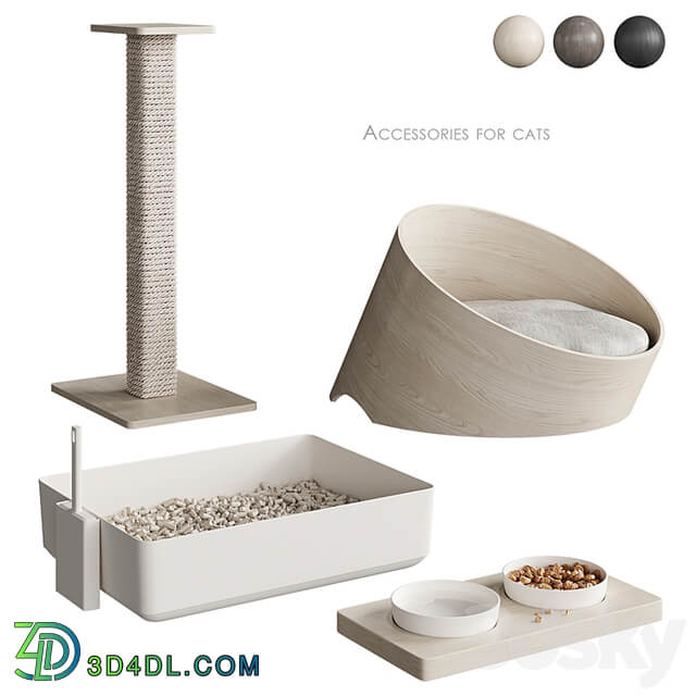 Accessories for cats NG1