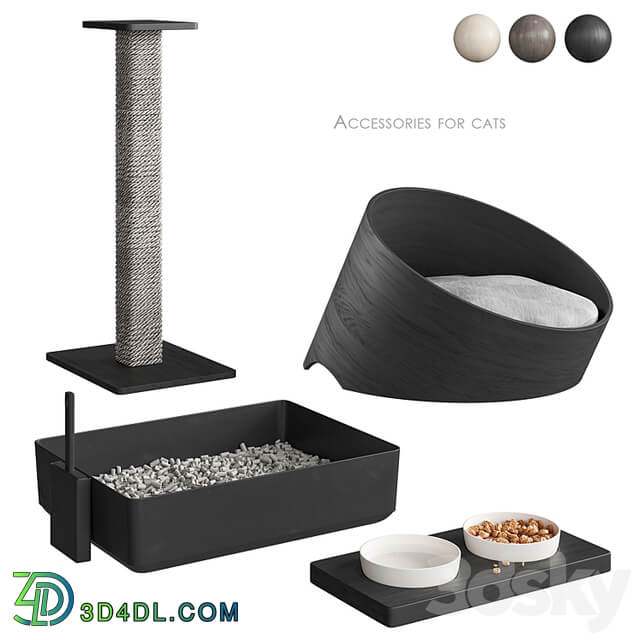 Accessories for cats NG1