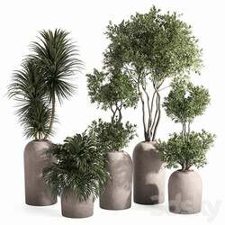 indoor plant set 