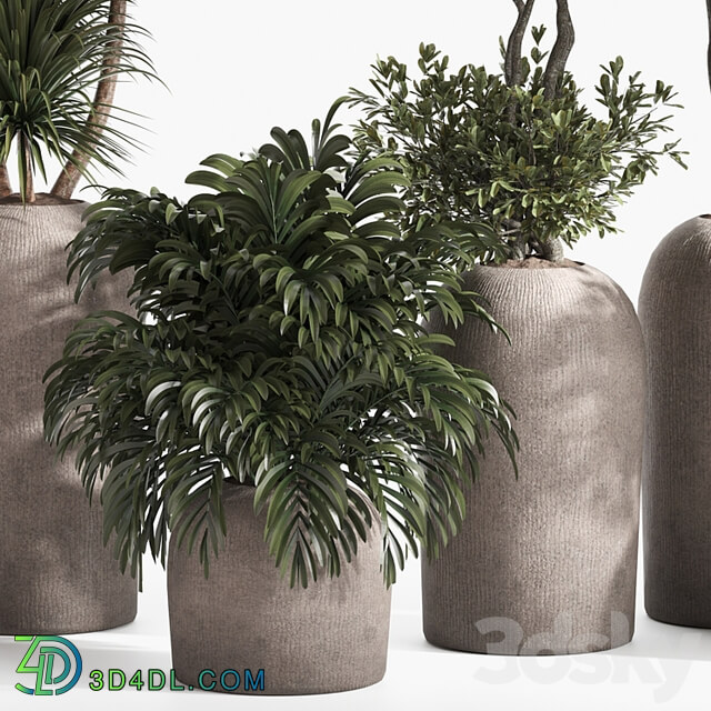 indoor plant set