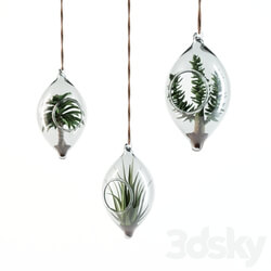 SIA Home Fashion hanging succulents 3D Models 