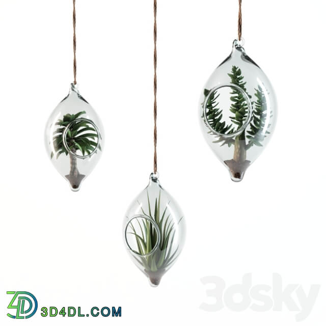 SIA Home Fashion hanging succulents 3D Models