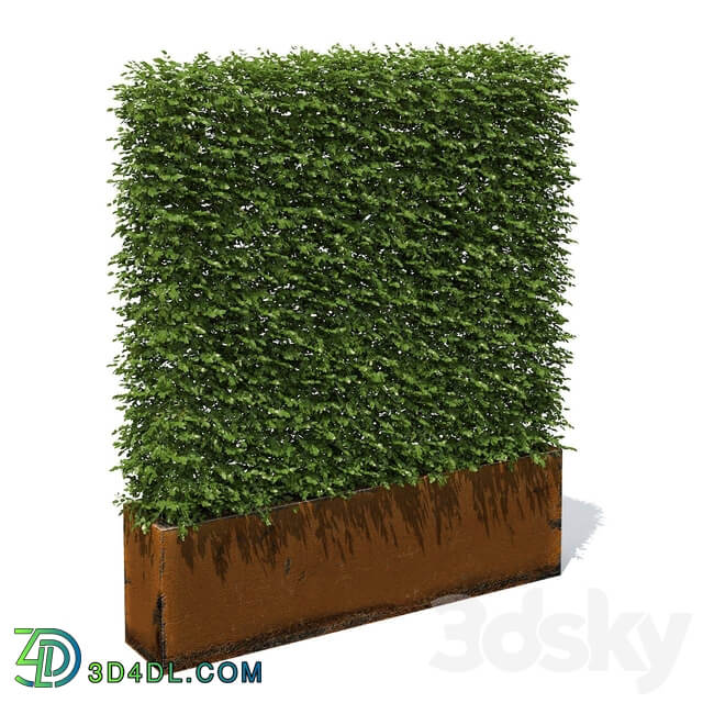 High hedges 3D Models