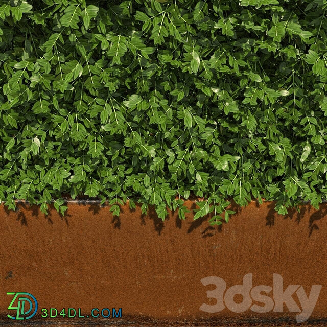 High hedges 3D Models