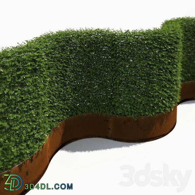 High hedges 3D Models