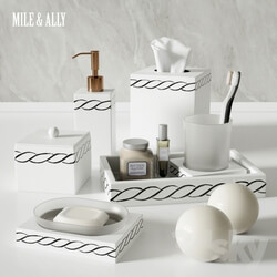 Bathroom Mike Ally 