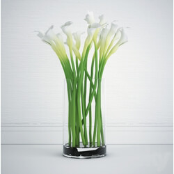 Calla bouquet 3D Models 