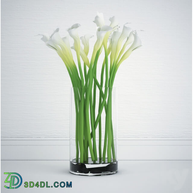 Calla bouquet 3D Models