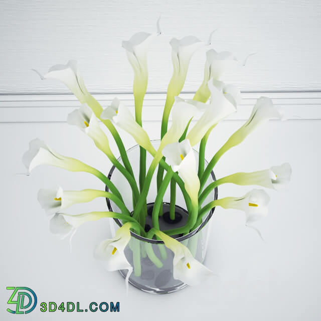 Calla bouquet 3D Models