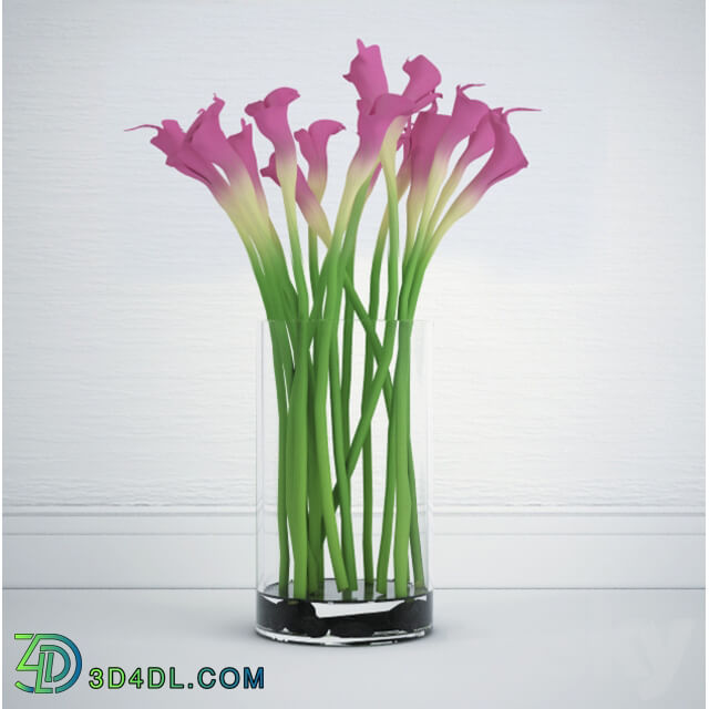 Calla bouquet 3D Models