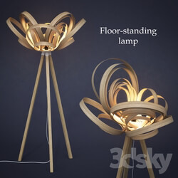 Floor standing lamp by Tom Raffield 