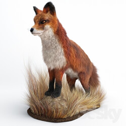 A Fox 