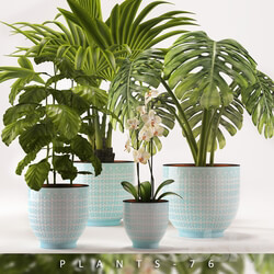 PLANTS 76 3D Models 