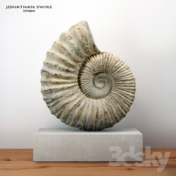 Large Ammonite Mounted on a Limestone Base 