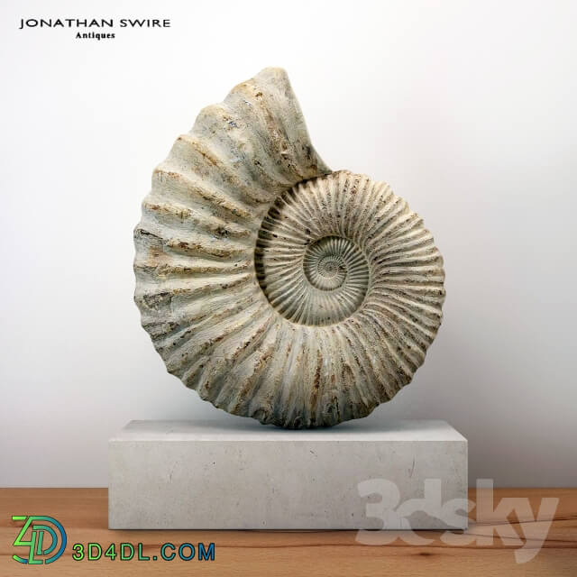 Large Ammonite Mounted on a Limestone Base