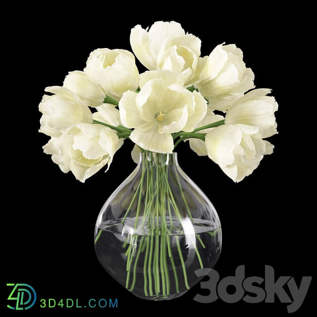 Tulips in a Vase 3 3D Models