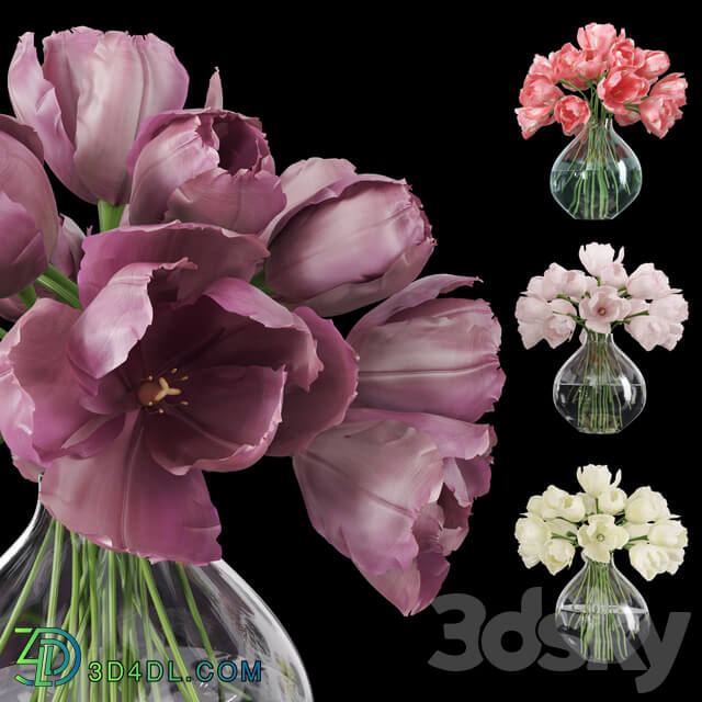 Tulips in a Vase 3 3D Models