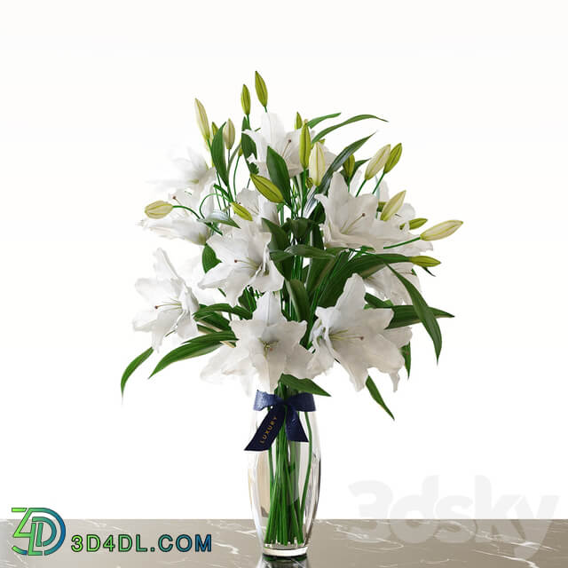 Bouquet Lily 3D Models