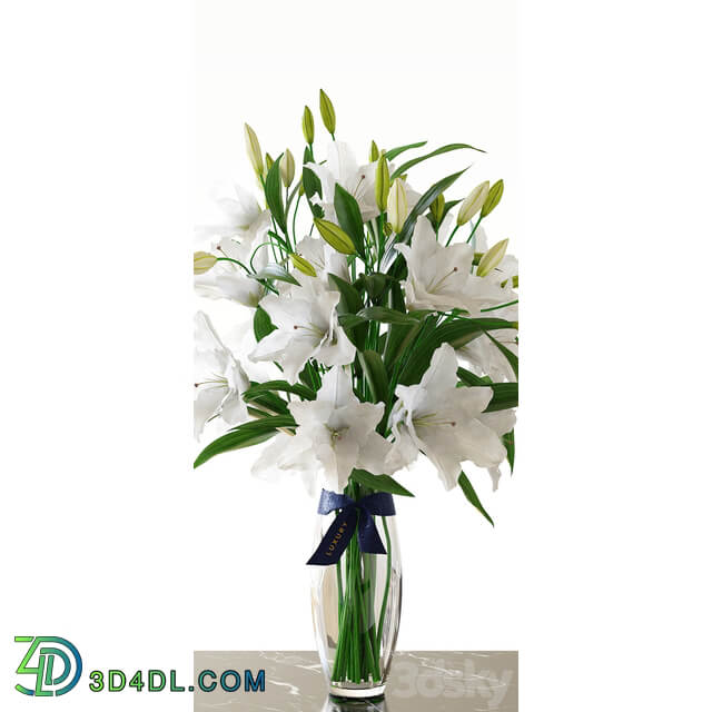 Bouquet Lily 3D Models